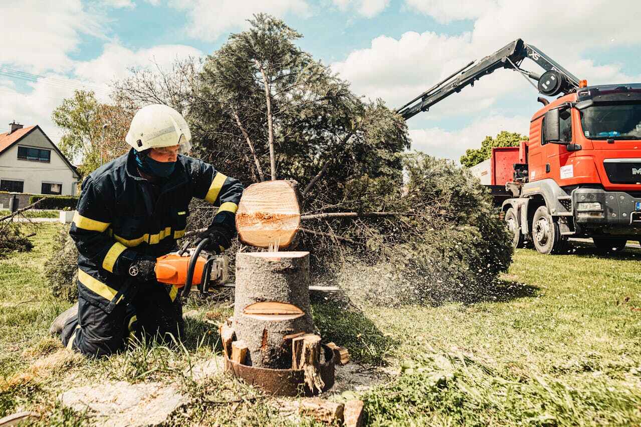 Best Tree Trimming Near Me  in Garden View, PA